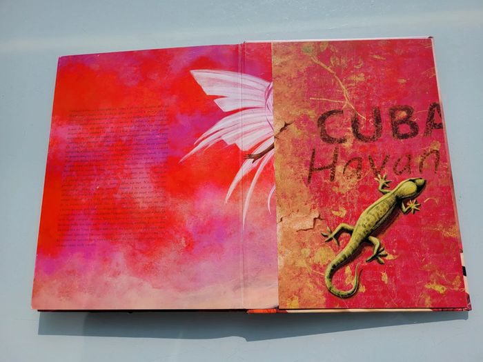 Très beau livre grand format Magiciennes du Monde (64) - photo numéro 17