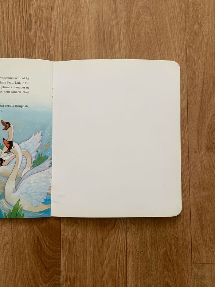 Livre le vilain petit canard - photo numéro 7