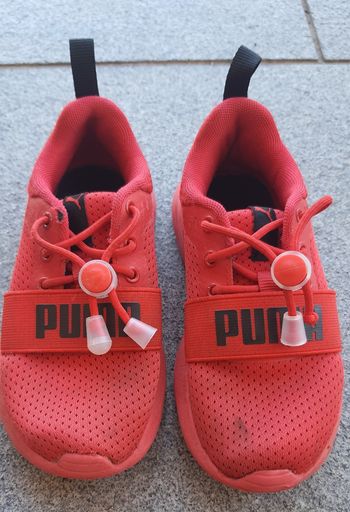Basket Puma