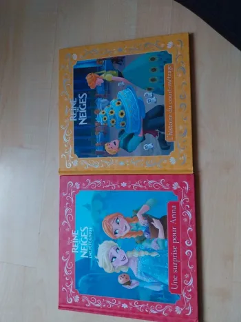 2 livres la reine des neige