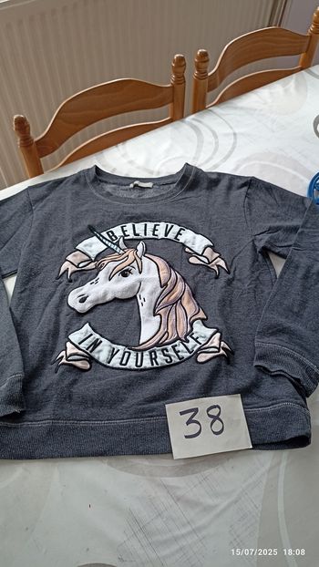 Pull 38 licorne gris