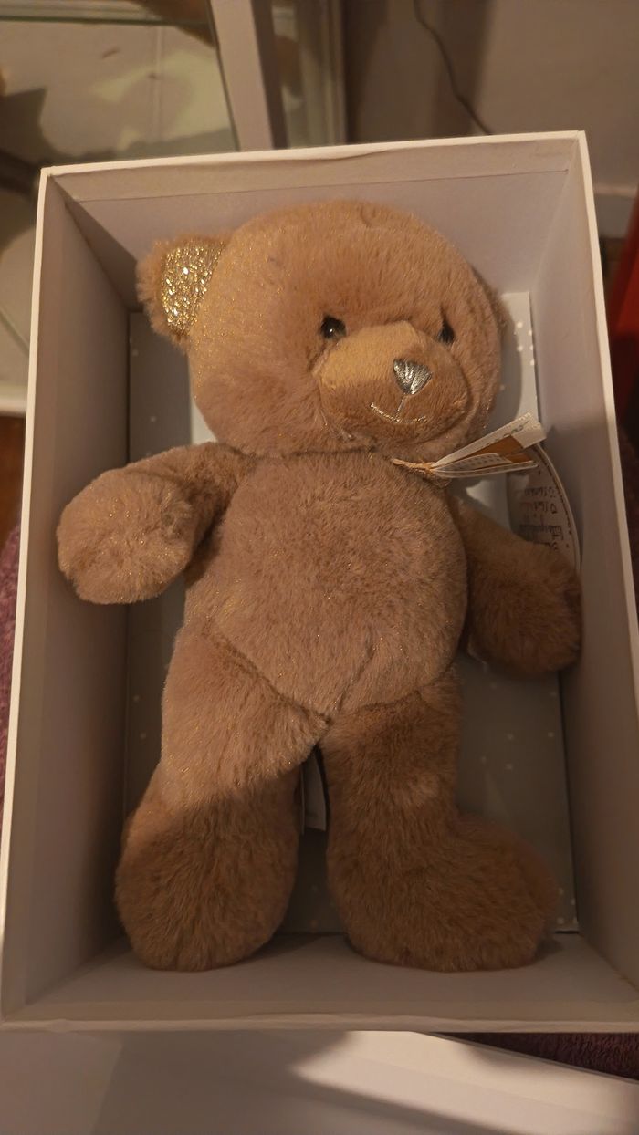 Ourson Histoire d'Ours Neuf - photo numéro 2