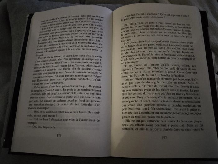 Livre de Claire Layton l'étreinte du passé - photo numéro 3