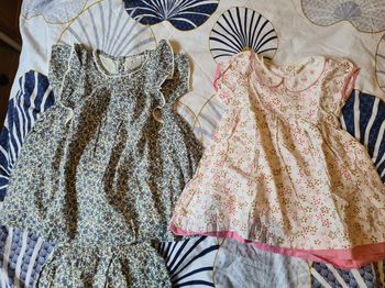 Lot 2 robes. 18 mois.  Fleurs rose. Mauve + bloomer  bout'chou