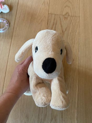 Peluche labrador