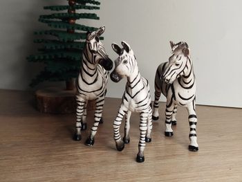 PAPO famille zèbre Animal de la savane