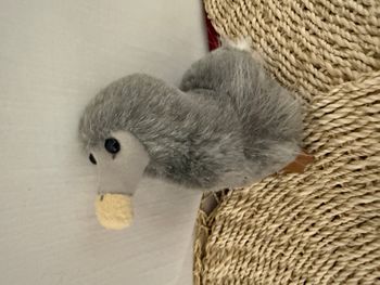 Peluche Oiseau Dodo gris Île Maurice Mauritius neuf Wally Plush Toys 