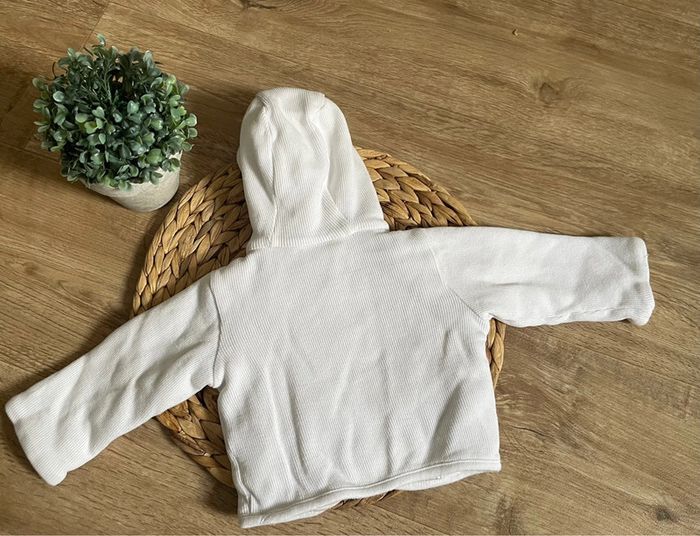 Veste - photo numéro 2
