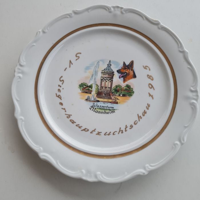 Magnifique assiette en porcelaine