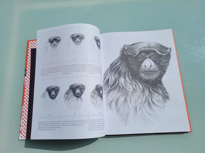 Livre 30 espèces à dessiner en pas-à-pas 🦩 Animaux à sauver 🦒 Beaux-Arts pour la terre (72) - photo numéro 5