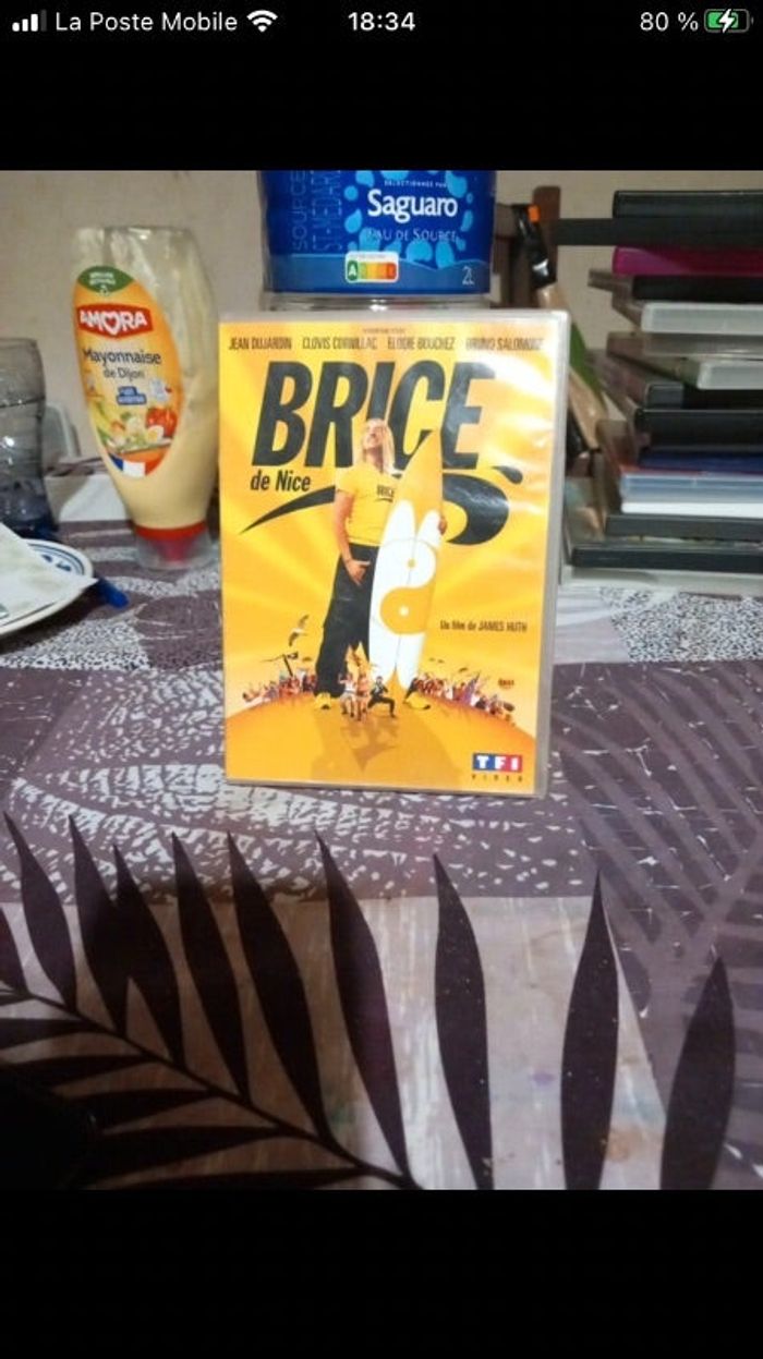 Dvd Brice famille
