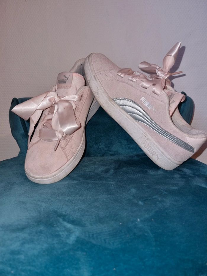 Puma rose
