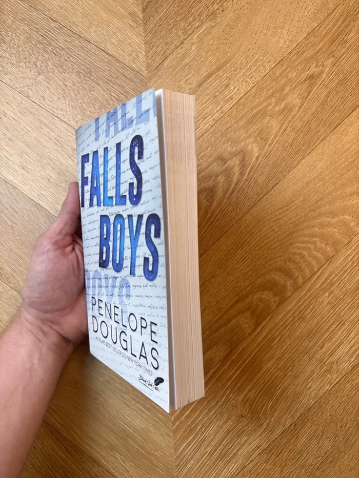 Livre Falls Boys - photo numéro 3