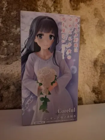 Coreful shoko Makibohara