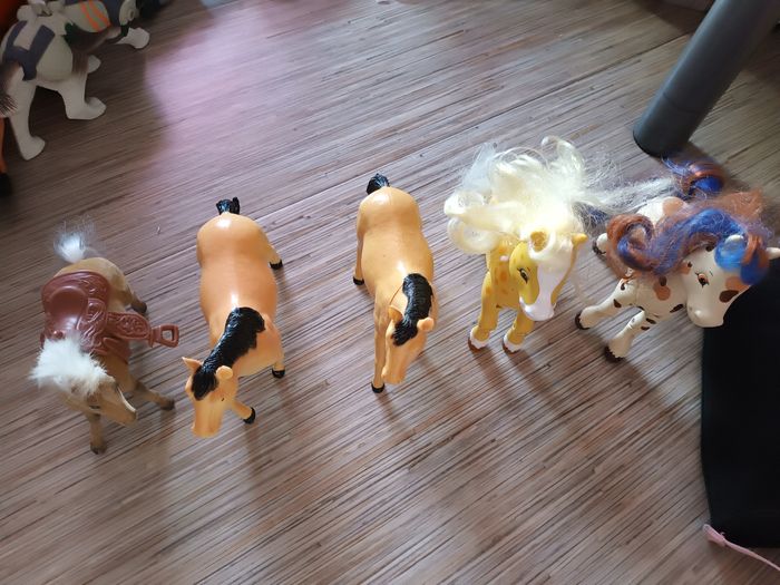 Chevaux - photo numéro 5