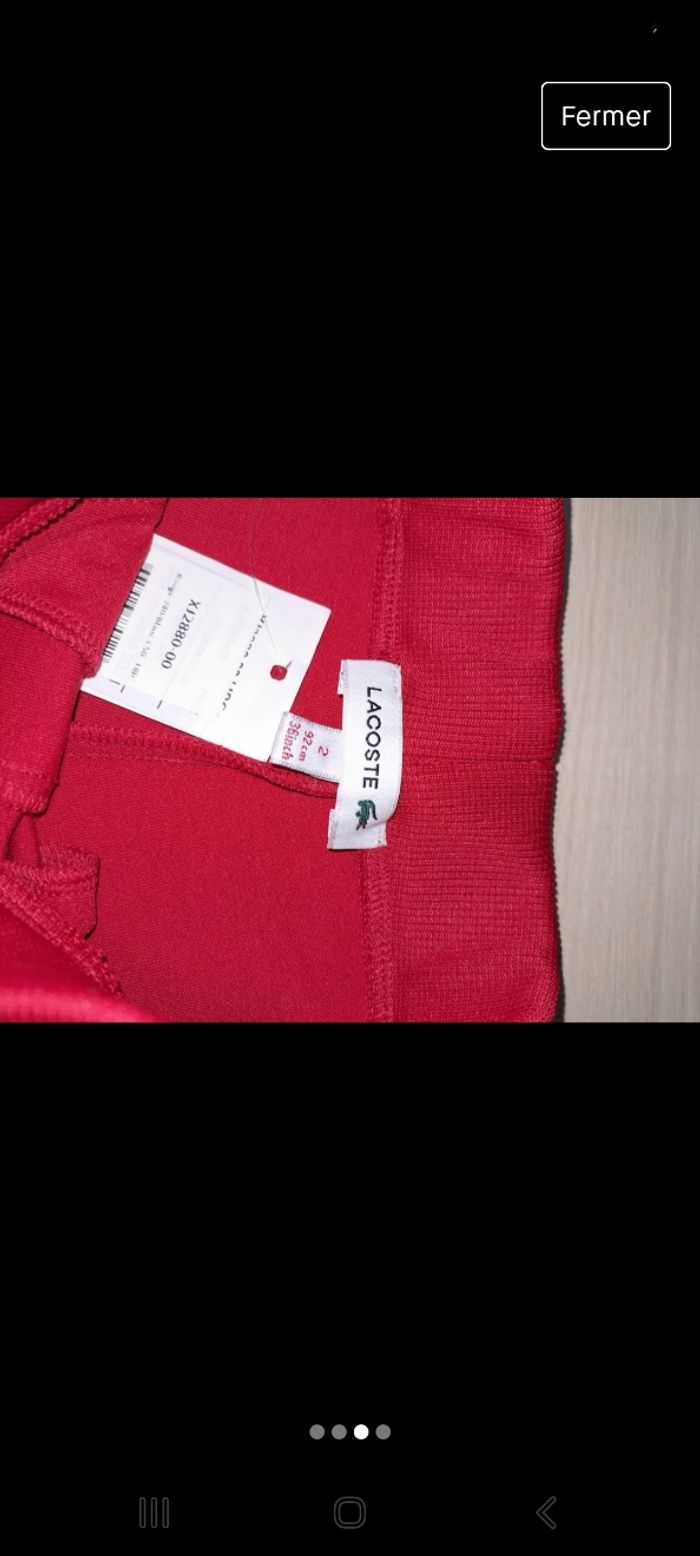 Jogging lacoste 2 ans - photo numéro 3