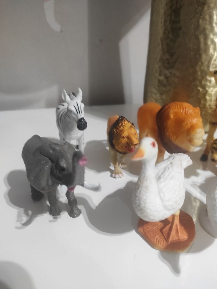 9 animaux - photo numéro 3