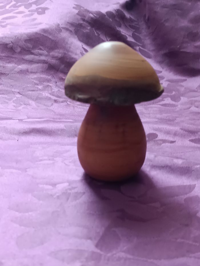 Champignon en bois et autres - photo numéro 2