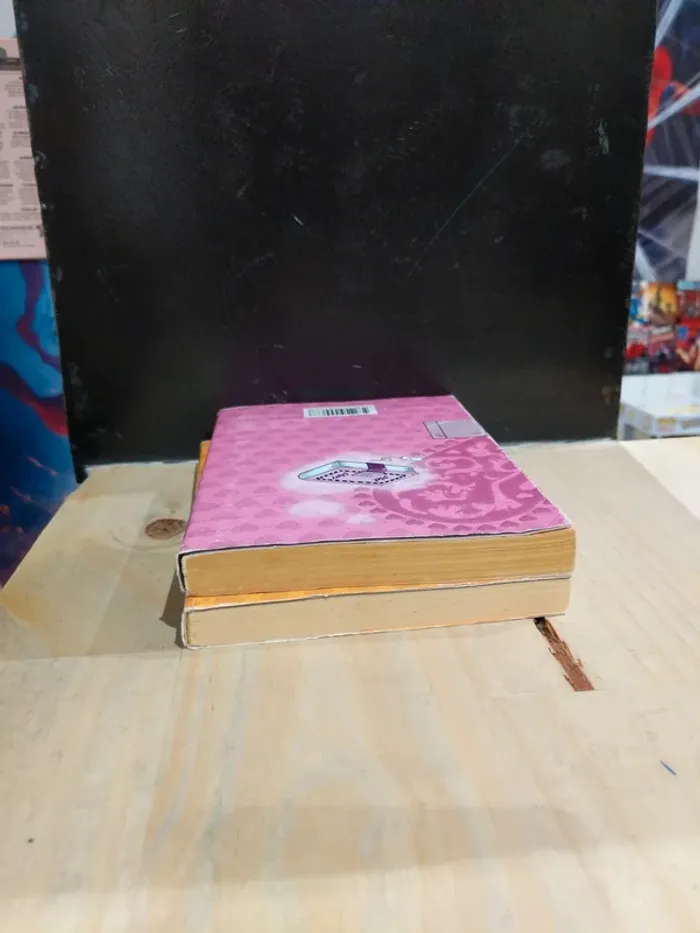Pink Diary – Tomes 1 & 2 - photo numéro 4