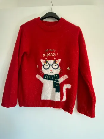 Pull de noël