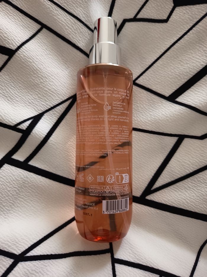 Brume adopt' - photo numéro 2