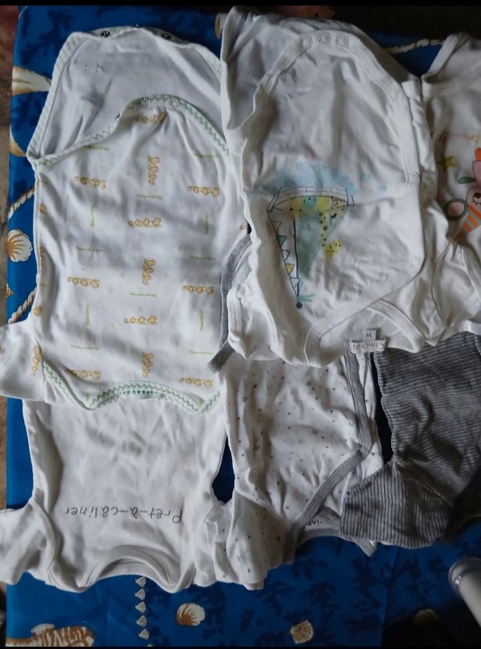 Body - photo numéro 3