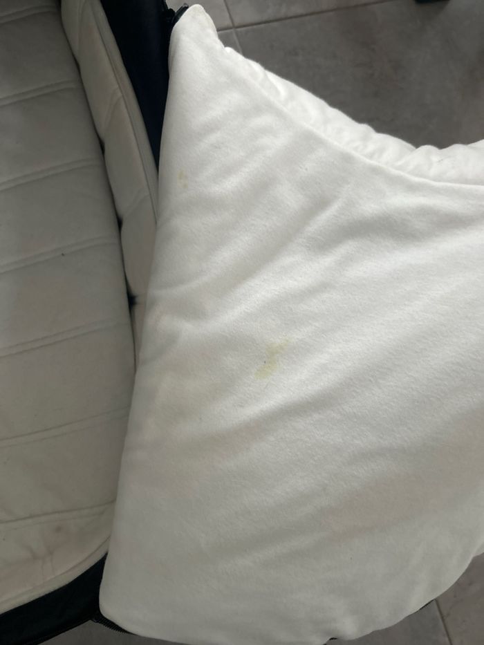 Nacelle Cybex Priam - photo numéro 3