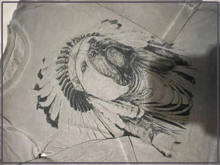 Tee shirt manches longues Zara boys taille 3/4 ans - photo numéro 2