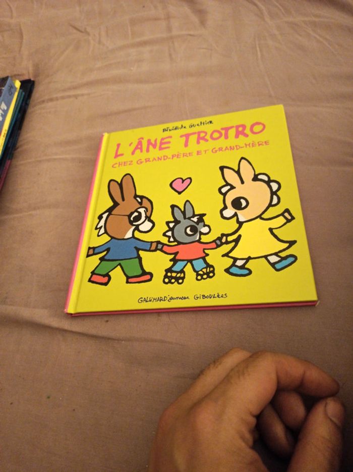 L'âne trotro - photo numéro 2