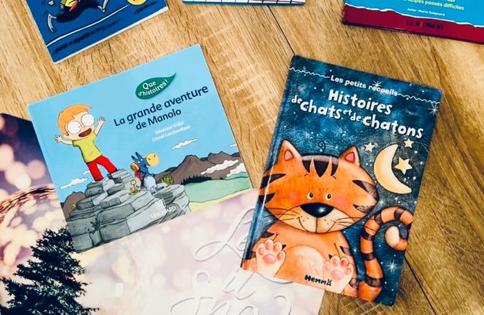 Lot de livres histoires du soir - photo numéro 3