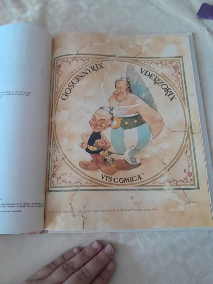 Asterix et la rose et le Glaive - photo numéro 2
