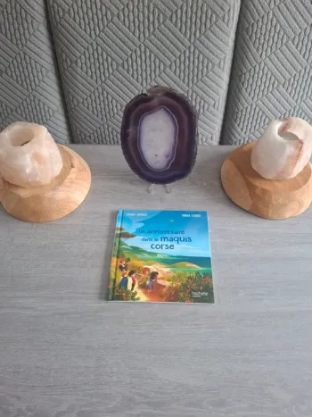 Livre Mcdo un anniversaire dans le maquis corse