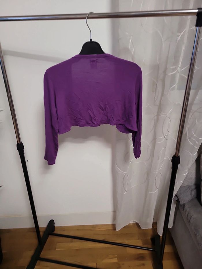 Gilet violet - photo numéro 3