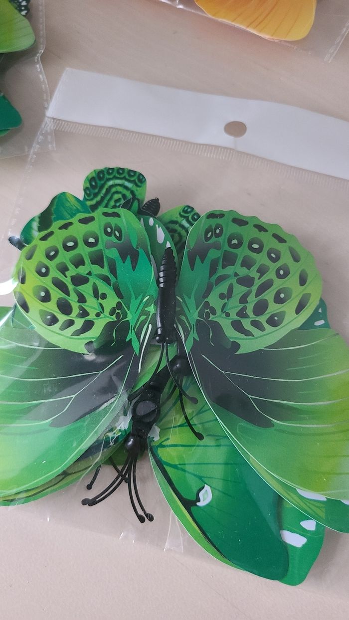 Activités - photo numéro 5