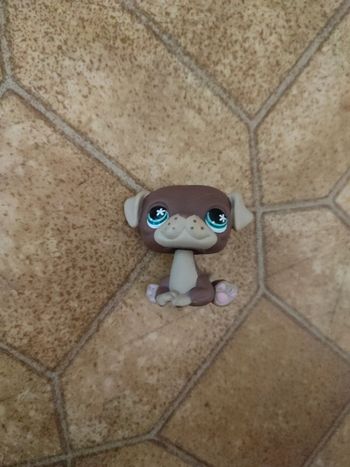 Figurine petshop