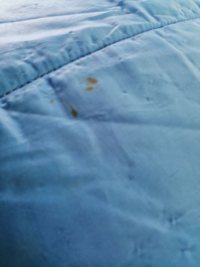 duvet bleu - photo numéro 2