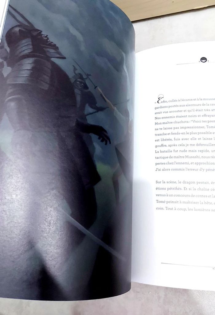 🌺 Livre (école des loisirs) : La fille du samouraï - photo numéro 3