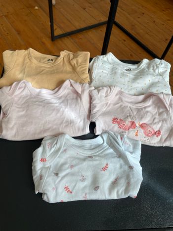 Lots 5 bodies