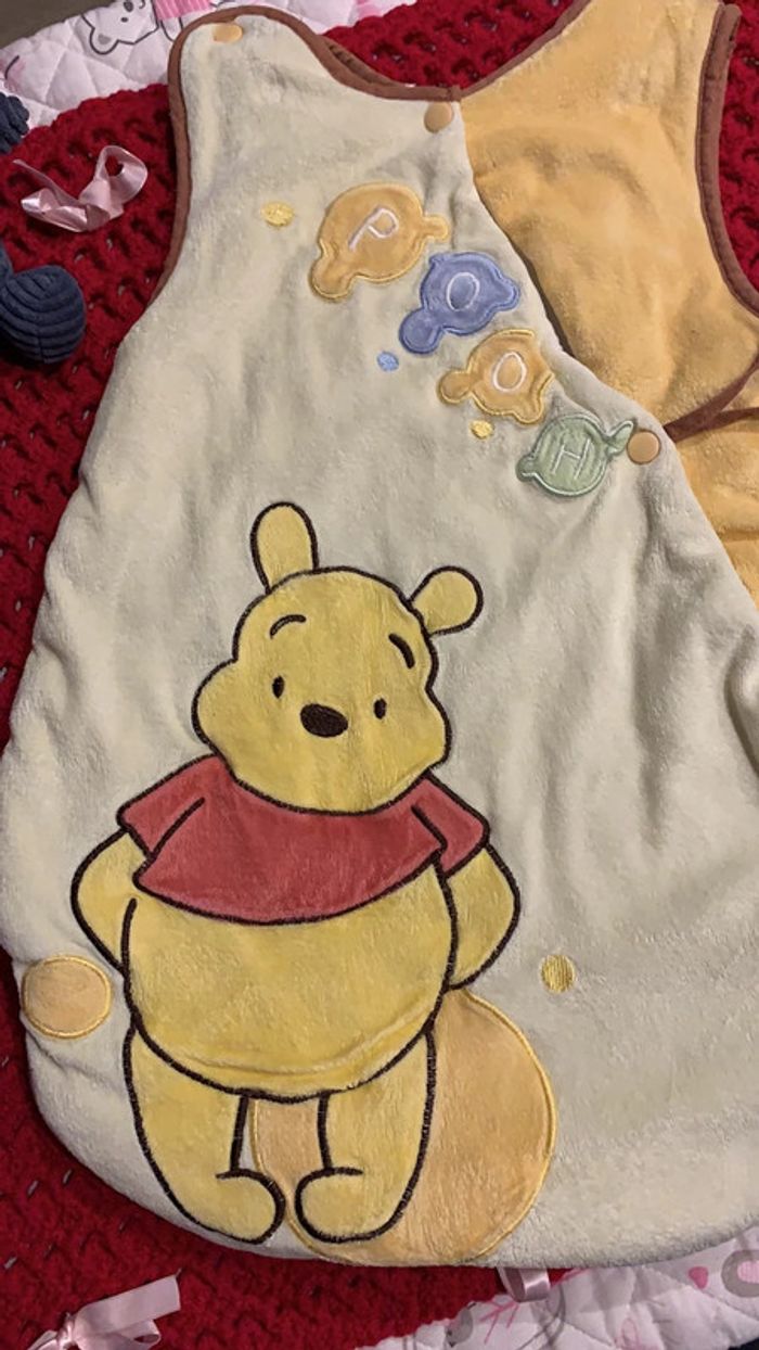 Gigoteuse naissance Disney - photo numéro 2