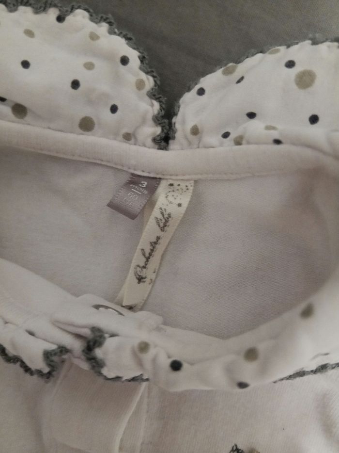 Bodie ML _ 3 mois - photo numéro 3