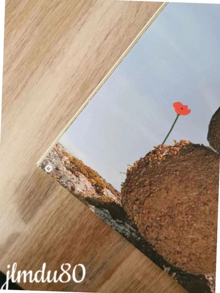 Cahier de jeux - photo numéro 6