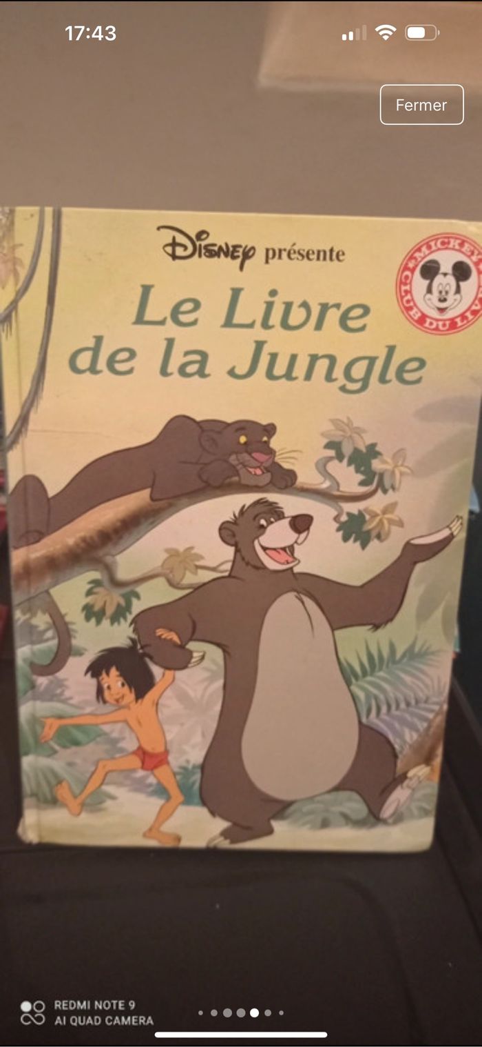 Livre Disney - photo numéro 7