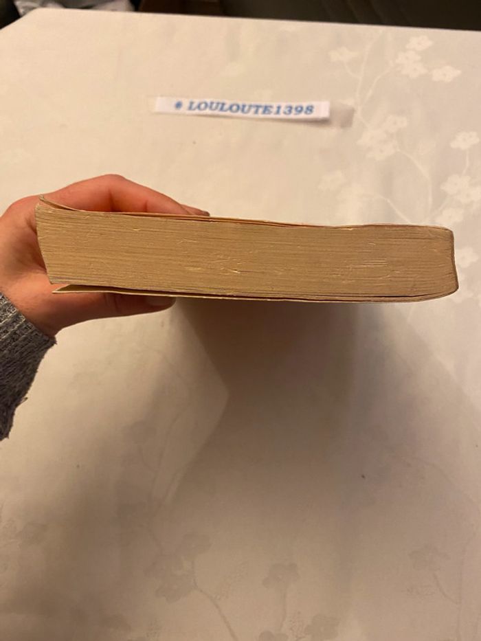 Curiositas N°6 - photo numéro 3