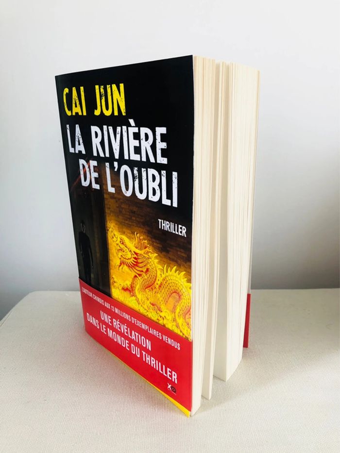 Livre thriller la rivière de l’oubli Cai Jun NEUF - photo numéro 2