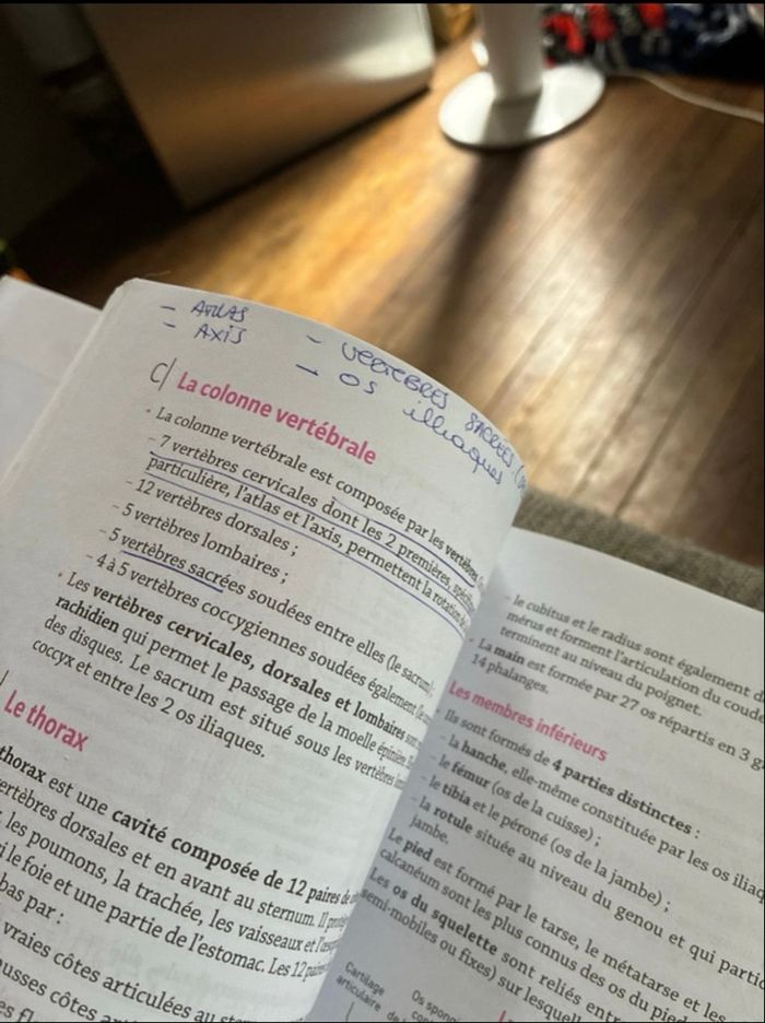Manuel Assistant médico administratif - photo numéro 4