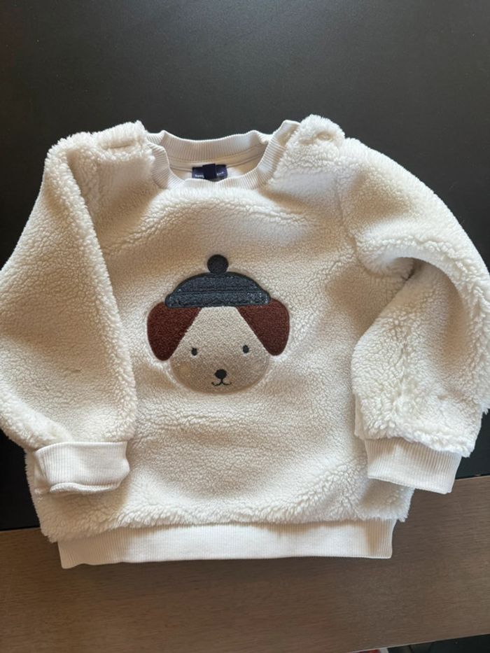 pull chien