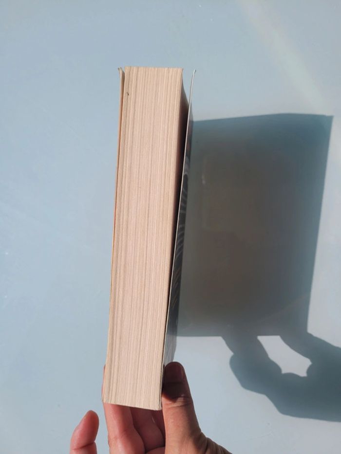 Roman Chasseurs de Livres, éditions R Jeunesse (48) - photo numéro 5