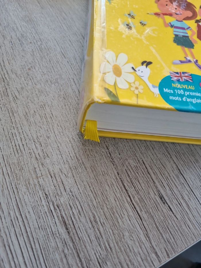 Dictionnaire gs cp ce1 - photo numéro 5