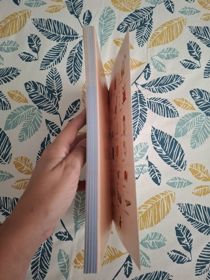 Mon gros cahier pour apprendre à lire et à écrire - photo numéro 3