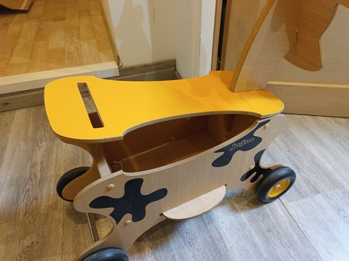 Vache coffre trotteur. - photo numéro 3